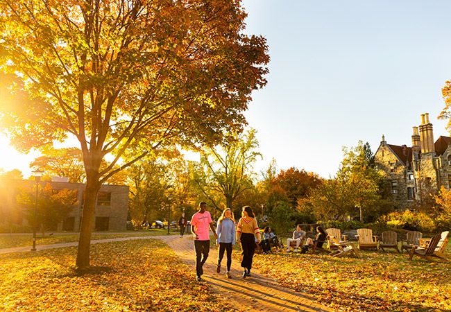 Statement from the Board of Trustees